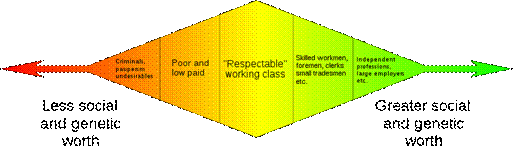 Файл:Galton class eugenics.svg